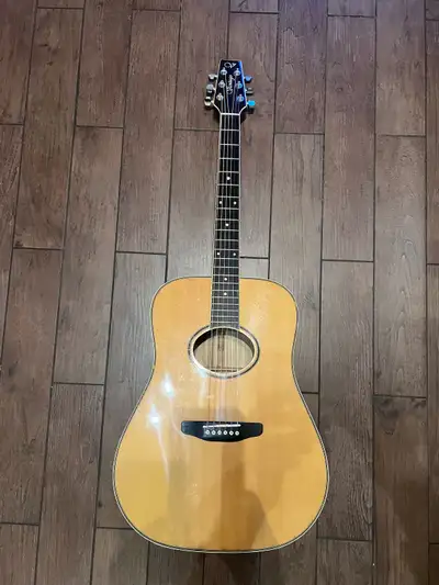 Vantage Acoustic Guitar VA40N-DVL, View more