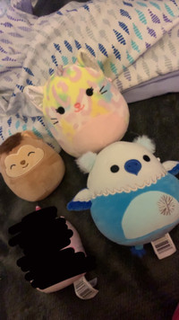 Squishmallow Lot