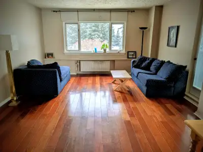 Large 1 bedroom apartment in Mission. Quiet building with harwood floors, large windows throughout,...