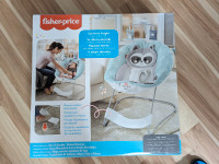 Fisher-Price Baby Raccoon See & Soothe Deluxe Bouncer- $40 OBO