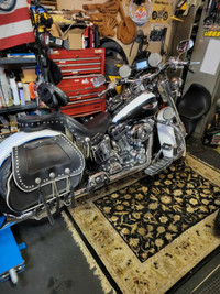 2008 HARLEY SOFTAIL DELUXE