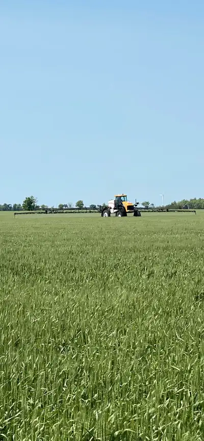 Looking for Farm Land to expand our Operation. Top price for Rent guaranteed ! and or 50/50 Share Cr...
