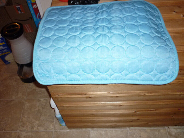 1 COOLING PAD FOR DOG BED 15IN. X 19IN. in Accessories in St. John's