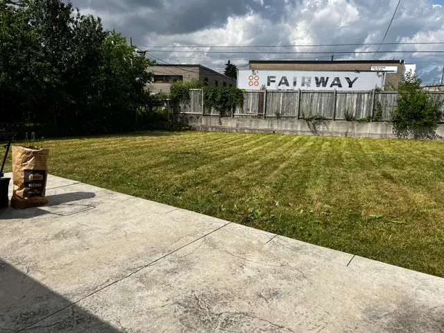 Mowing, Trimming & Edging $49, Lawn Care In Etobicoke & Toronto in Lawn, Tree Maintenance & Eavestrough in City of Toronto - Image 6