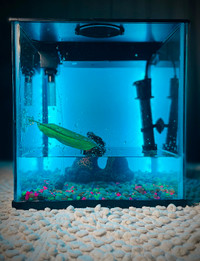 FISH TANK BUNDLE: Tank, filter, oxygen, heater, decor