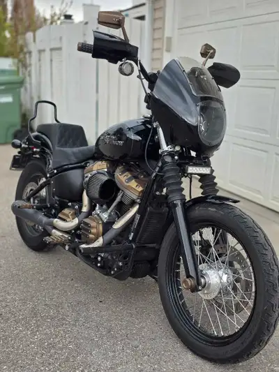 13175 KM Well maintained. Bronze package Thrashin risers Bars Dangerboy shorty levers HD locking fai...