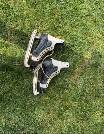 Hockey Skates Phil Esposito, View more