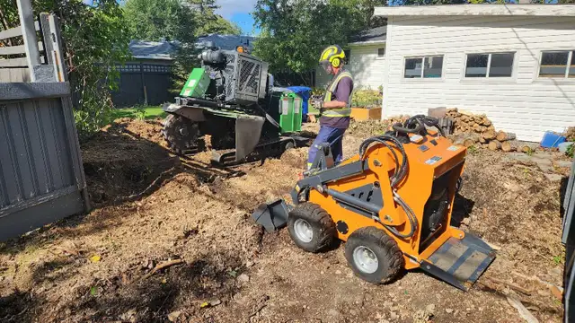 Quality Low Cost Stump Grinding in Lawn, Tree Maintenance & Eavestrough in Saskatoon - Image 3