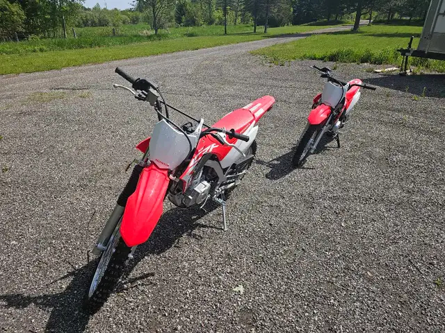 Honda CRf110F and CRF125FB in Dirt Bikes & Motocross in Markham / York Region - Image 3