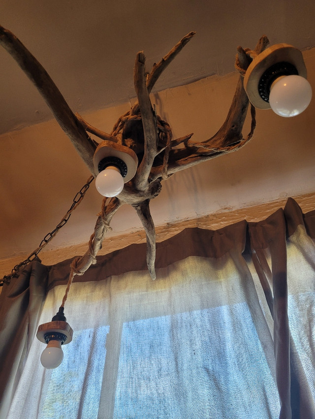 Driftwood hanging lamp in Indoor Lighting & Fans in Sault Ste. Marie