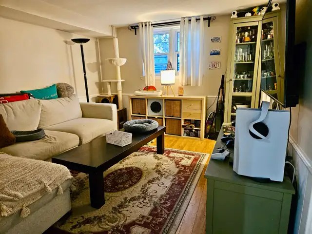 1 bedroom apartment in Hintonburg - parking available!