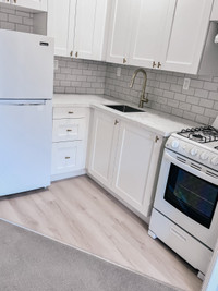 Renovated 1 Bedroom Apartment for Rent at Coxwell and Danforth