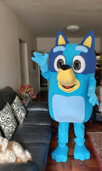 Bluey mascot costume rental