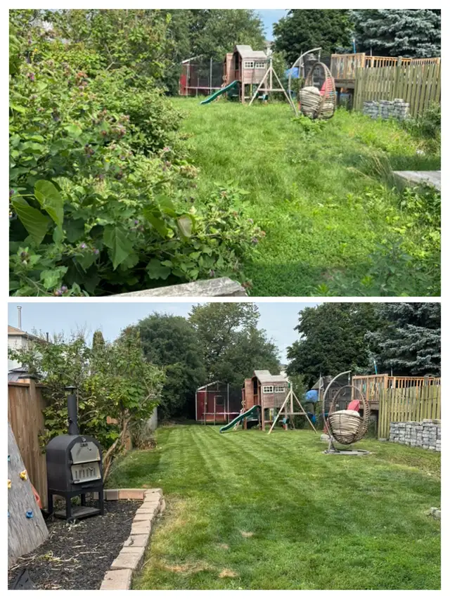 —Yard Rescue —Lawn Care , Tree care & Junk Removals