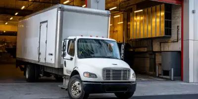 EXPERIENCED DZ  TRUCK DRIVER AVAILABLE FOR LOW SALARY, View more