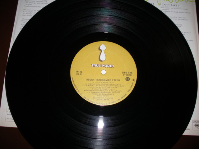 Vinyl Record in CDs, DVDs & Blu-ray in Trenton - Image 4