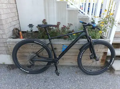 2024 Scott Scale 980 Beautiful colour shifting paint. Looks green, brown, blue and purple depending...