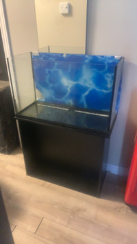 40 gallon tank. Just needs to be resealed