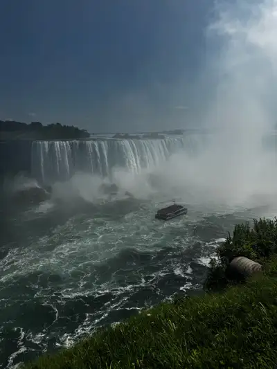 need a job, View more