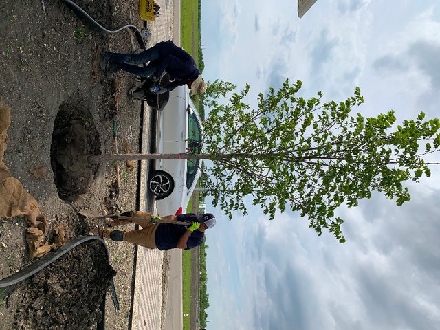 Landscaping , patio, sod Interlock, Paving & Driveways Winnipeg