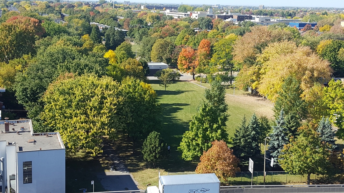 APARTMENT FOR RENT DISCOUNT $100.00 PER MONT / 6 MONTHS — photo 2