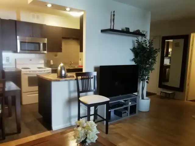 Fully furnished  apartment  at 285 Rue Laurier, Gatineau in Long Term Rentals in Gatineau - Image 3