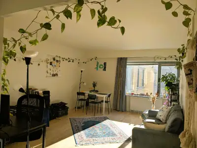 Hi! I’m looking for a roommate to share my 3 ½ apartment in downtown Montréal. You’d have the privat...