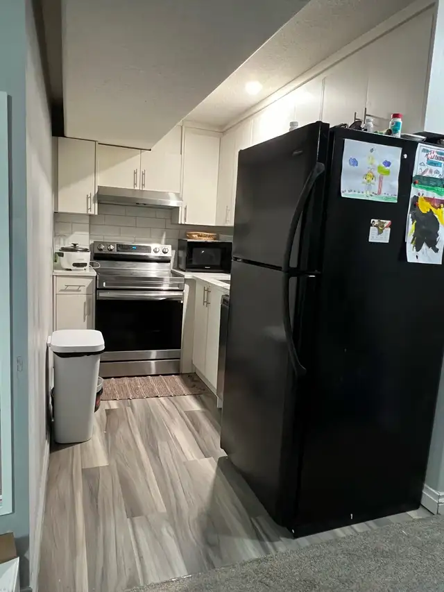 2 Bedrooms Basement