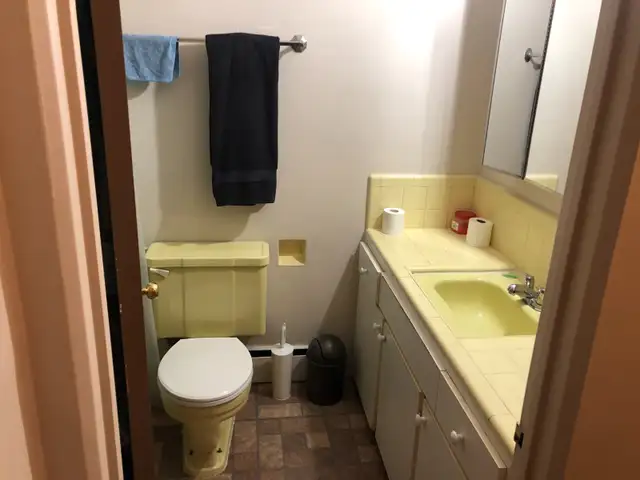 Room mate wanted for February 1 in Room Rentals & Roommates in Burnaby/New Westminster - Image 3