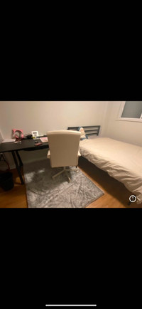 Looking for roommates!