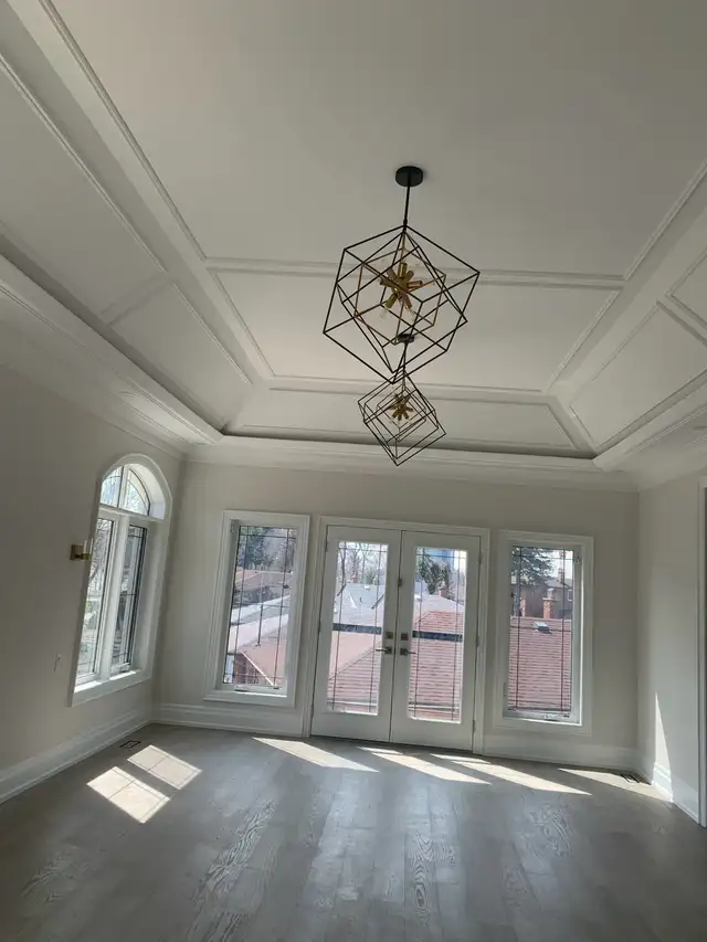 Professional Painter62863221838209124