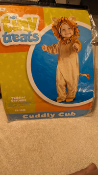Cub Lion costume (12-18 months)