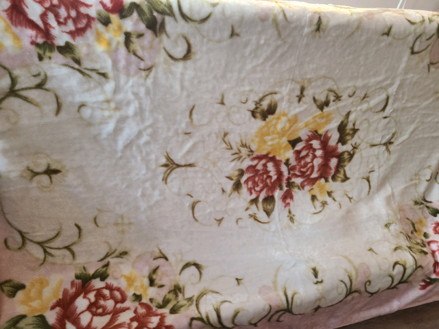 Feather duvet, small pillows and different blankets in Women's - Other in Ottawa - Image 4
