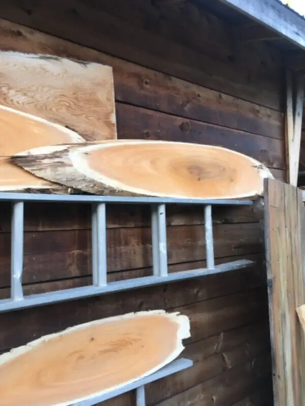 Enseigne Bois Cèdre live edge in Arts & Collectibles in Edmundston - Image 7