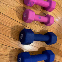 Dumbbells 5 and 8 lbs