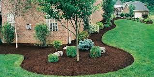 Mulch, Mulching in Plants, Fertilizer & Soil in Kitchener / Waterloo