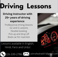 Driving Lessons ~ MTO approved driving Instructor!
