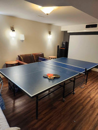 Ping pong table + net 