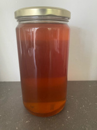 Honey for sale 15$/kg
