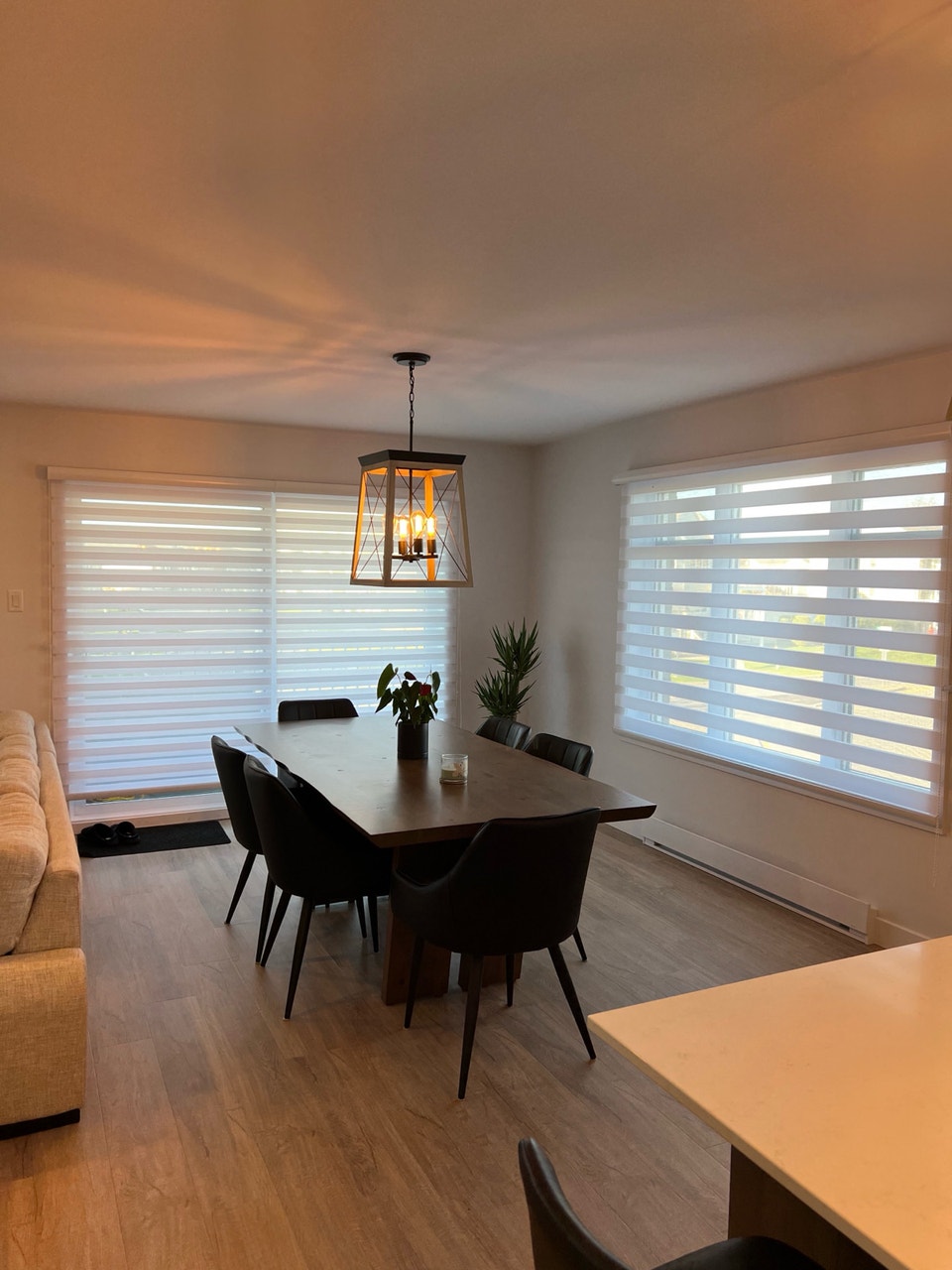Grand 4 1/2 Rez de Jardin 5