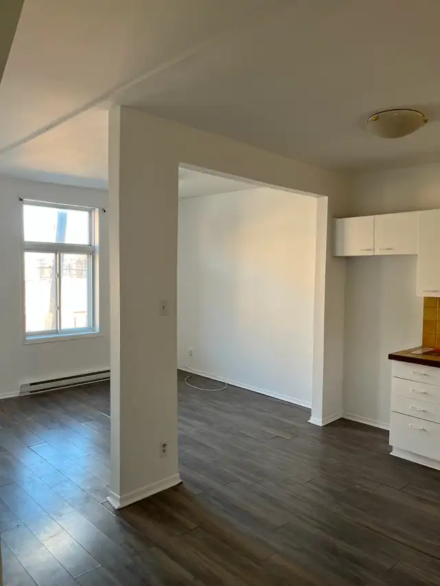 GREAT 2-BEDROOM IN VERDUN - PETS ALLOWED