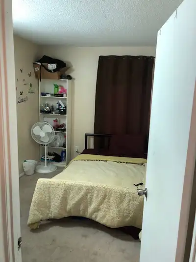 Room for rent (female only), near UOFM rent
