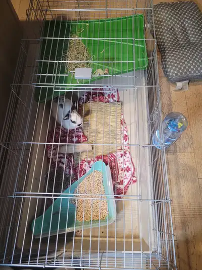 Large Animal Cage, View more