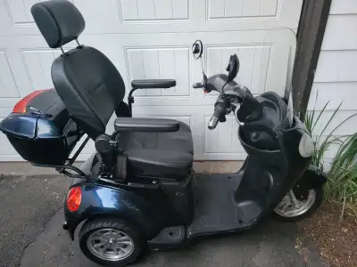 Triporteur rien a reparer 5 batteries lumieres haut bas jeaune pour la nuit et blanc claxon phlasher...