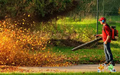 leaf cleanup - lawn care , View more