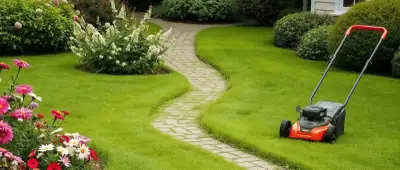 Light Landscaper, View more