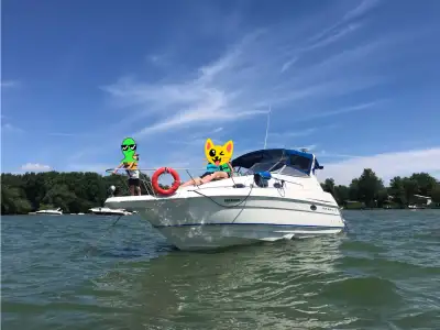 Boat ready for your vacation. Very well maintained by a professional. Ready to sail now. Generator o...