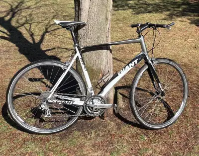 Giant Rapid XL, View more