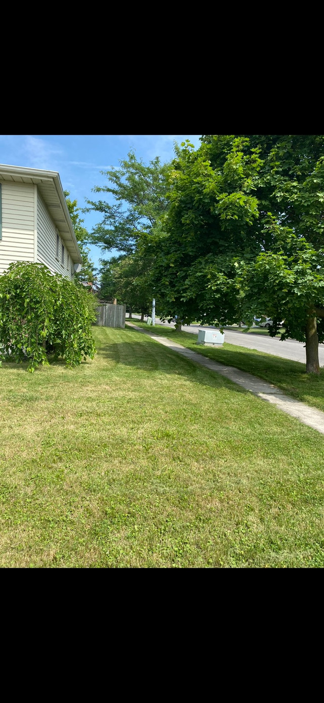 Lawncare and maintenance  in Other in St. Catharines - Image 4