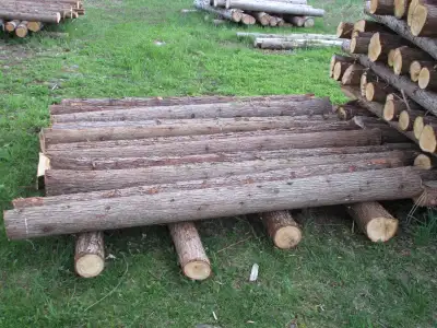 Cedar Posts for Sale, View more